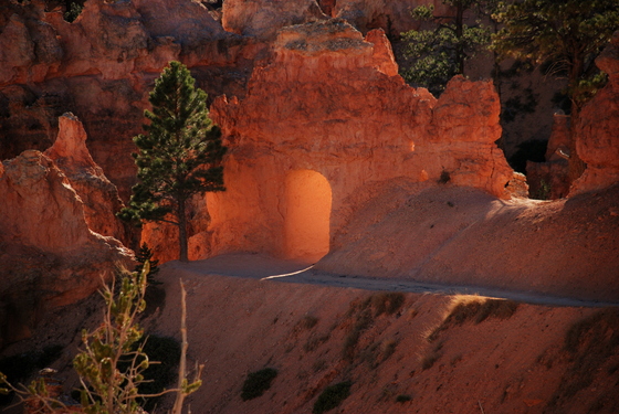 Bryce Canyon