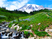 Mount Rainier National Park