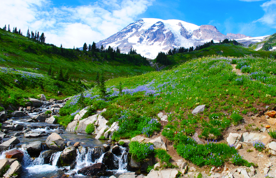Mount Rainier National Park
