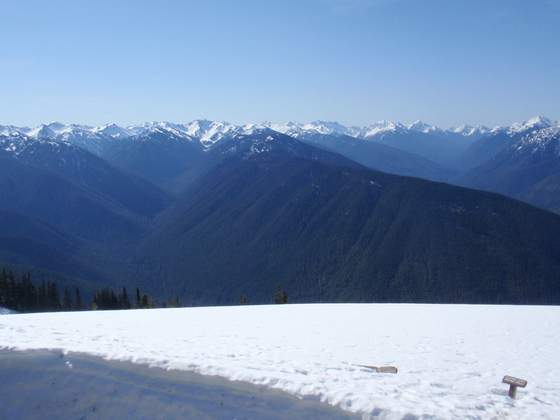 Olympic National Park