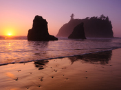 Olympic National Park