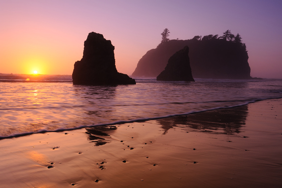 Olympic National Park
