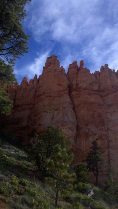 Bryce National Park