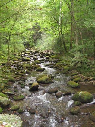 Great Smoky Mountains National Park