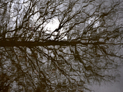 Loxahatchee National Wildlife Refuge