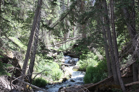 Yankee Meadow National Park