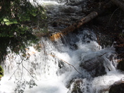Yankee Meadow National Park