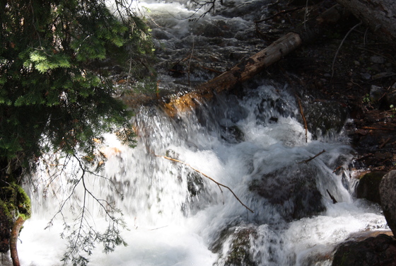 Yankee Meadow National Park