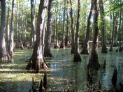 Natchez Trace Parkway