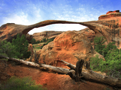 Arches National ParK