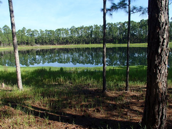 Doe Lake