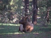Grand Canyon National Park
