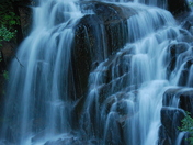 Mt Rainier National Park