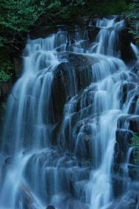 Mt Rainier National Park
