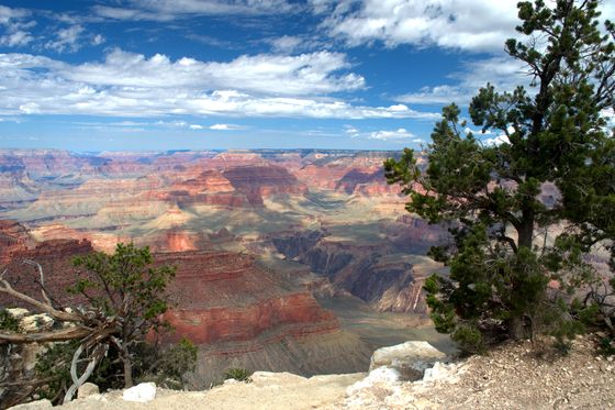Grand Canyon National Park