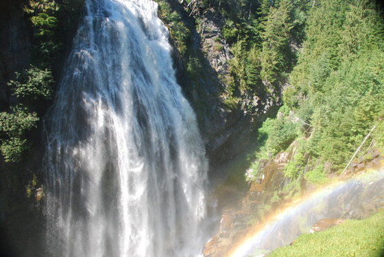 Mt Rainier National Park