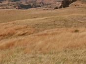 Roosevelt National Park