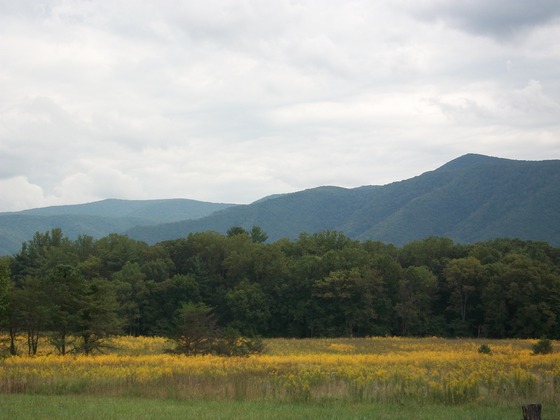 Great Smoky Mountains National Park