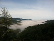 Umpqua National Forest