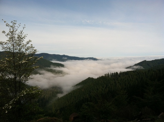 Umpqua National Forest