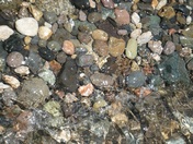 Umpqua National Forest