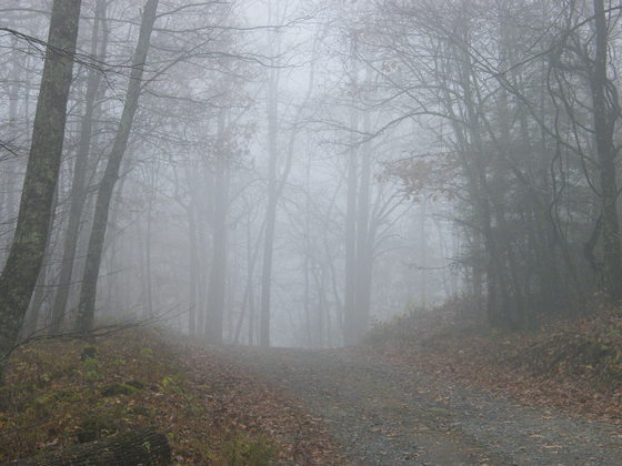 lake conasuaga