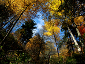 Great Smoky Mountains National Park
