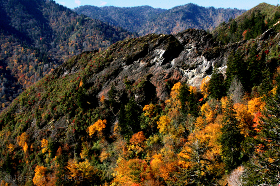 Great Smoky Mountains National Park