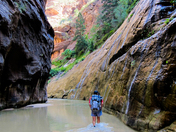 The Narrows, Zion National Park