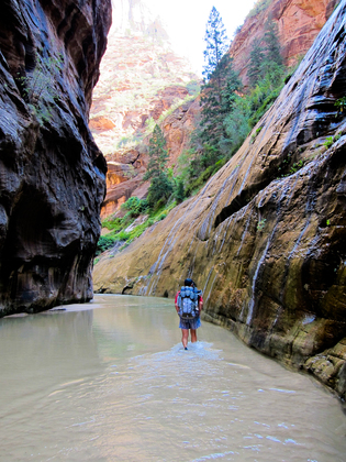 The Narrows, Zion National Park