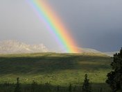 Denali National Park