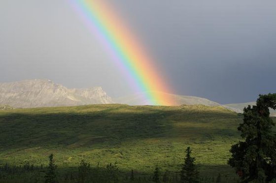 Denali National Park