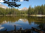 Yosemite National Park