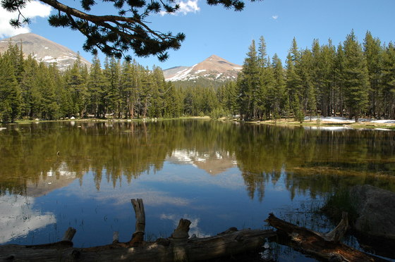 Yosemite National Park