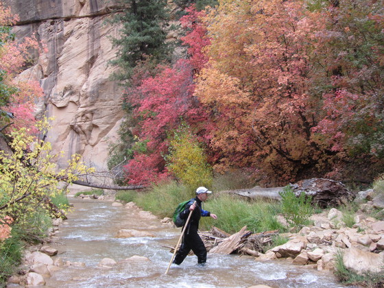 Zion National Park