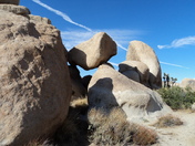 Joshua Tree National Park