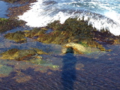 Sachuest Point National Wildlife Refuge 