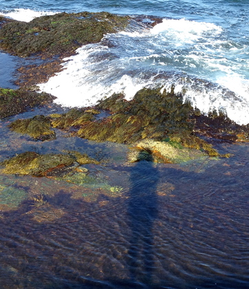 Sachuest Point National Wildlife Refuge 