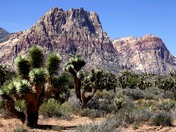 Red Rock Canyon National Conservation Area