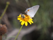 Guadalupe Mountains National Park