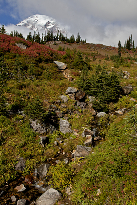 Mount Rainier National Park