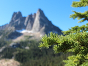 Okanogan National Forest