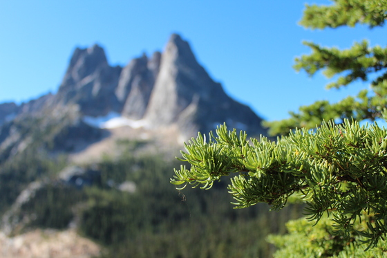 Okanogan National Forest