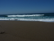 Point Reyes National Seashore