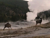 Yellowstone National Park