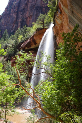 Zion National Park, UT