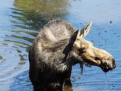 Rocky Mountain National Park