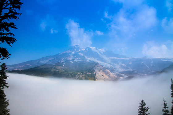 Mt Rainier NP