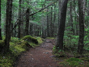 Klondike Gold Rush National Historical Park