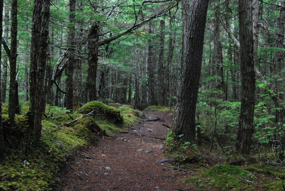 Klondike Gold Rush National Historical Park